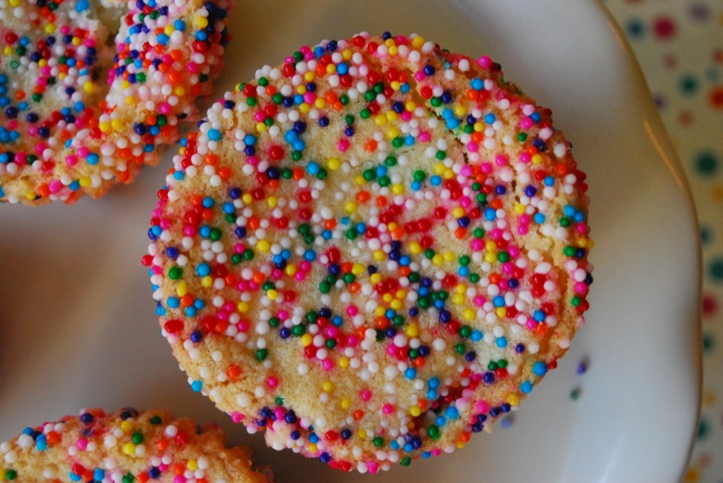 Close-up of a sprinkly cookie, part of a sugar cookie covered Oreo