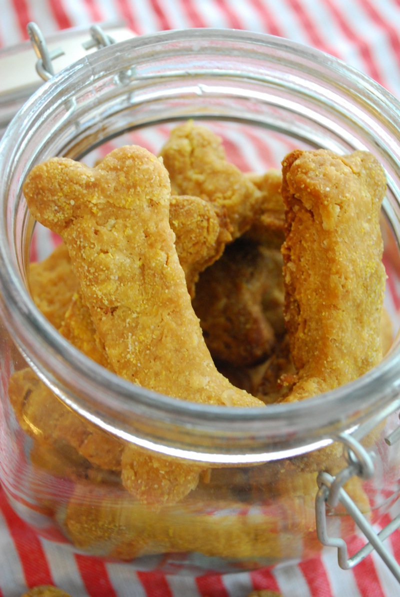Close-up of peanut butter cornmeal dog biscuits in a jar