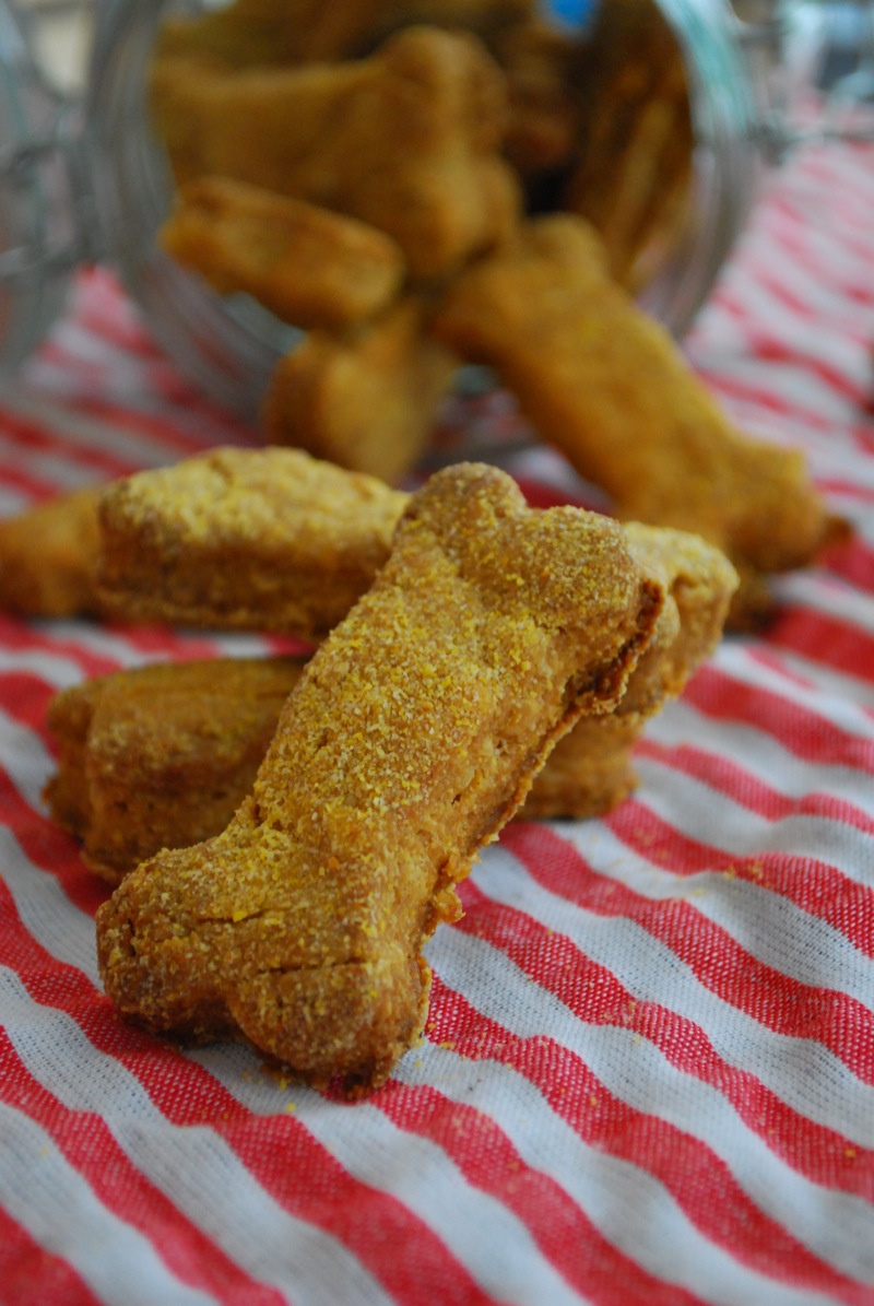 Peanut butter cornmeal dog biscuits sitting on a red and white striped cloth