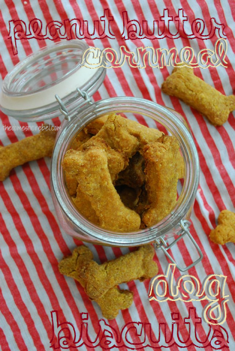 peanut butter cornmeal dog biscuits