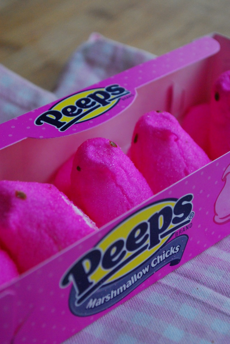 close up photo of peeps marshmallows chicks