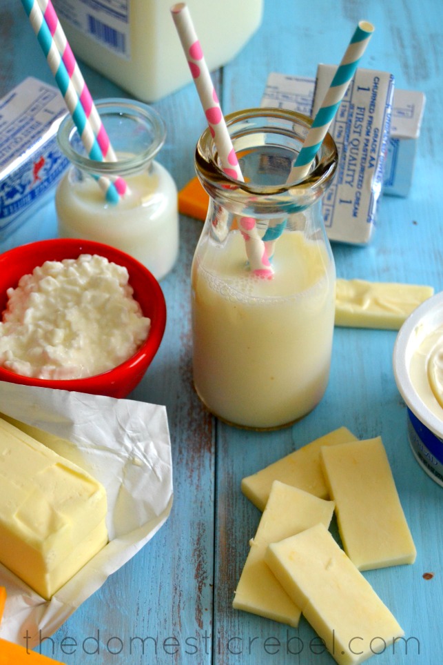 photo of milk and cheeses on blue background