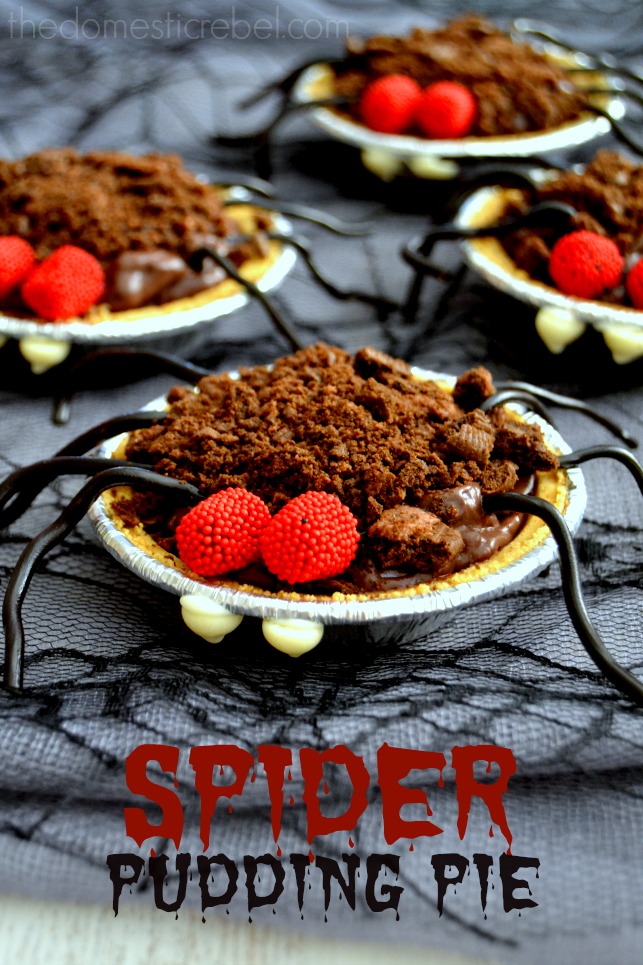 spider pudding pie