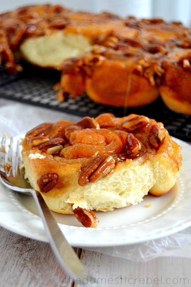 a pecan sticky bun on a white plate with a fork on a white background