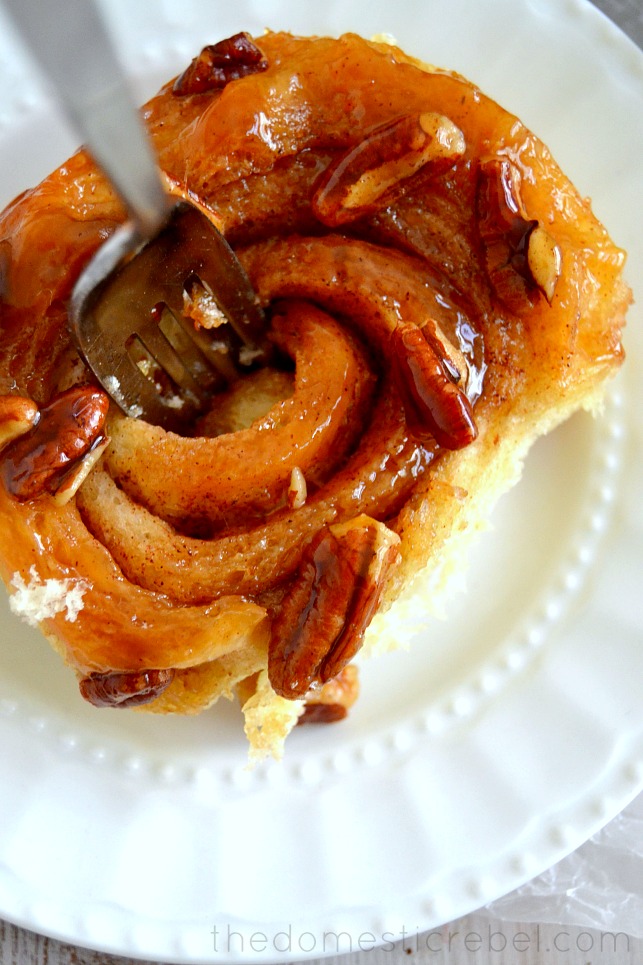 one hour pecan sticky bun on white plate with a fork sticking out of it