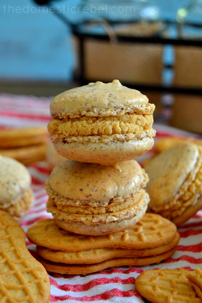 two nutter butter macarons stacked on a nutter butter cookie