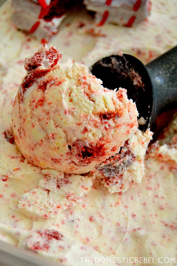 closeup of red velvet cheesecake ice cream in container with a scoop