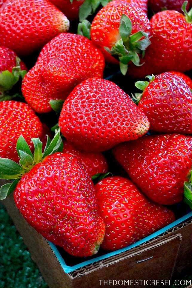 Fresh strawberries in bushels at a farm