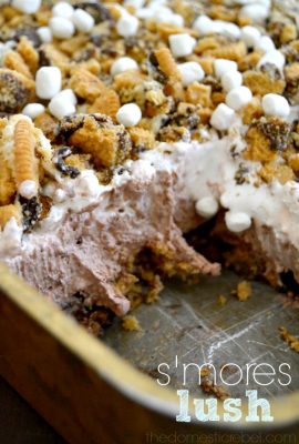 This No-Bake S'mores Lush Dessert is so EASY, foolproof and totally delicious! Creamy, dreamy, crunchy and fabulous, it's such a fun twist on s'mores for summertime!