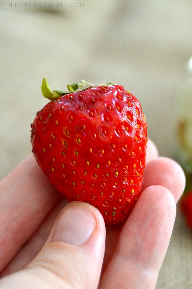 Photo of the author holding a fresh strawberry