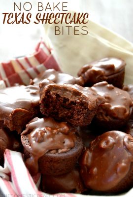 These No-Bake Texas Sheetcake Bites are perfect for when the chocolate craving strikes! Impossibly easy, totally foolproof and they taste super fudgy and amazing!