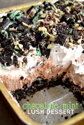 This Chocolate Mint Lush Dessert is irresistible! Light, fluffy and bursting with refreshing mint flavor, everyone will love this easy, no-bake dessert!
