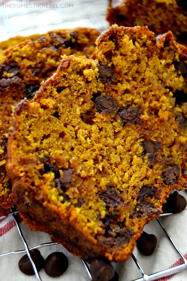 closeup of texture in chocolate chip pumpkin bread on a wire rack
