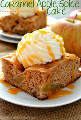 This Caramel Apple Spice Cake is sure to please everyone! You won't believe that this cake takes only THREE simple ingredients to make!