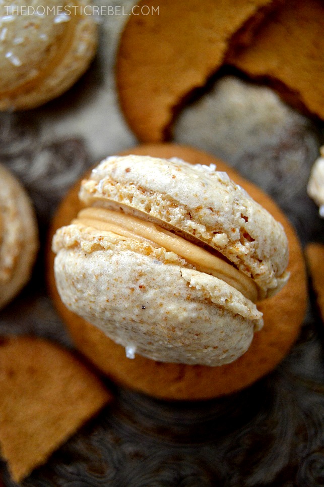 closeup of gingerbread macaron with gingerbread cookies surrounding it