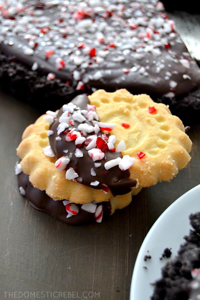 Chocolate Peppermint Dipped Shortbread Cookies stacked on dark background