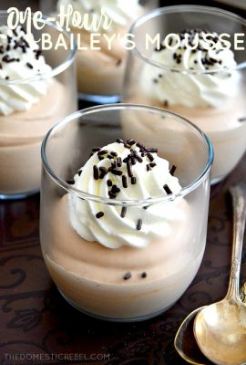 This velvety smooth, ultra creamy Bailey's Mousse recipe is SO EASY and is made in ONE hour! Keep this recipe on hand for when your chocolaty mood strikes!