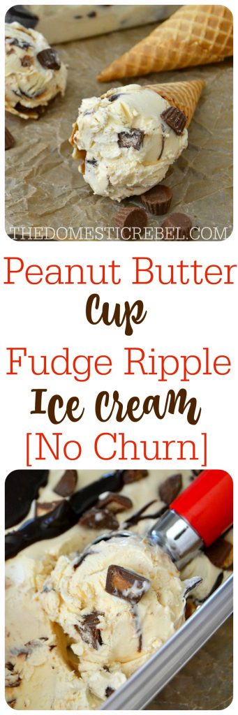 PB Cup Fudge Ripple Ice Cream collage