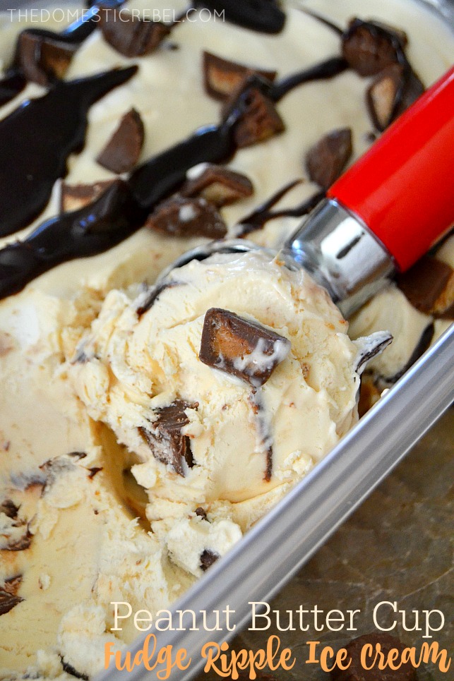 PB Cup Fudge Ripple Ice Cream in container with red scoop