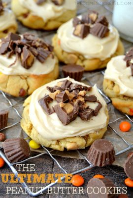 These Ultimate Peanut Butter Cookies are for serious PB lovers only! Soft & chewy peanut butter cookie topped with a creamy peanut butter frosting and peanut butter cups. So easy, so impressive, so addicting!
