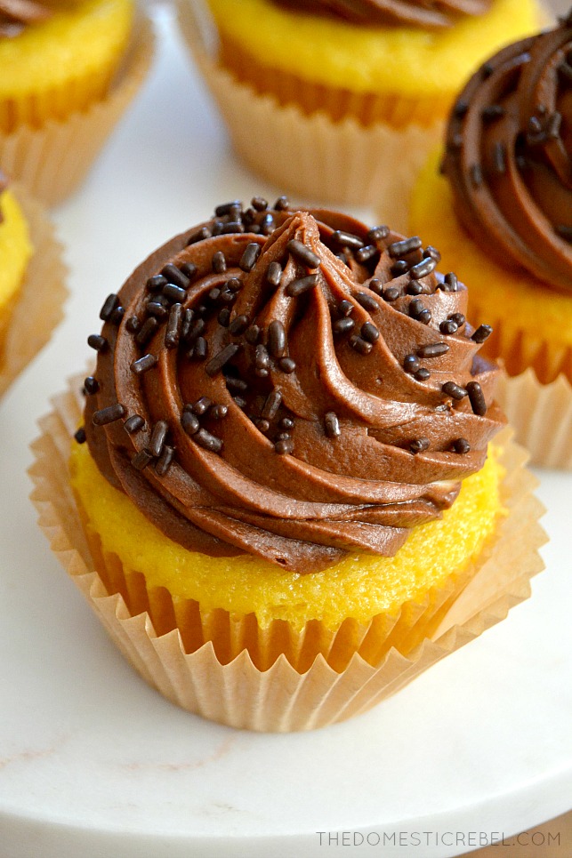 Chocolate Frosted Yellow Cupcake on white board