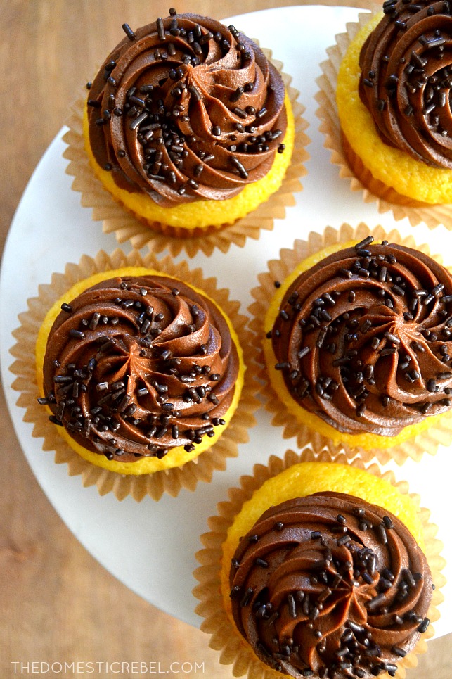 Chocolate Frosted Yellow Cupcakes arranged on white plate