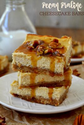 These Pecan Praline Cheesecake Bars have a pecan cookie crust, a creamy brown sugar cheesecake and a heavenly, buttery, rich and gooey praline pecan sauce on top. So easy, super impressive and utterly gorgeous and DELICIOUS!