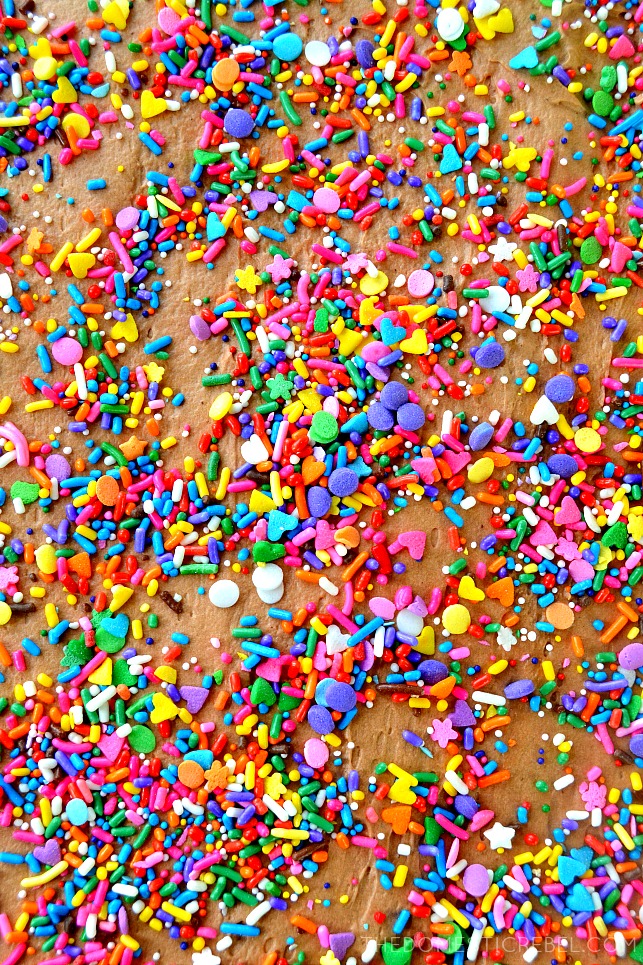 Photo of the top of the cake with chocolate frosting, and multi-colored sprinkles