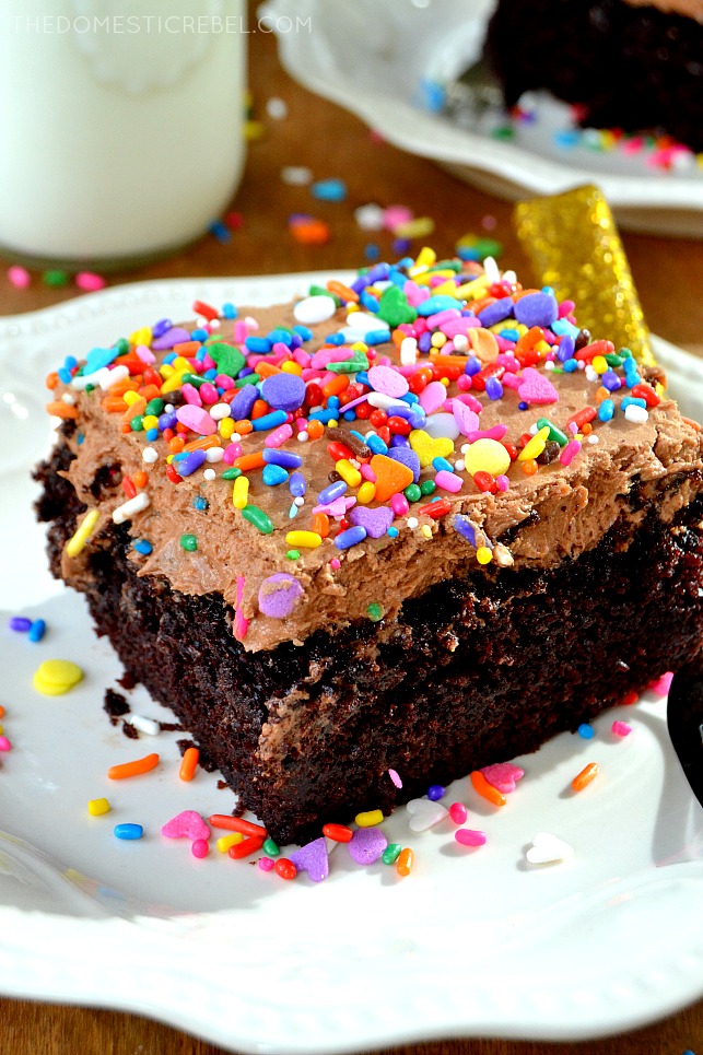 Slice of the chocolate cake with chocolate frosting and sprinkles.