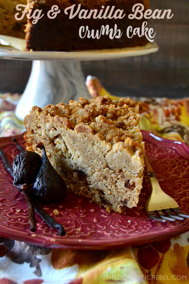 fig & vanilla bean crumb cake on a red plate 