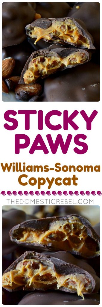 sticky paws williams-sonoma copycat collage 