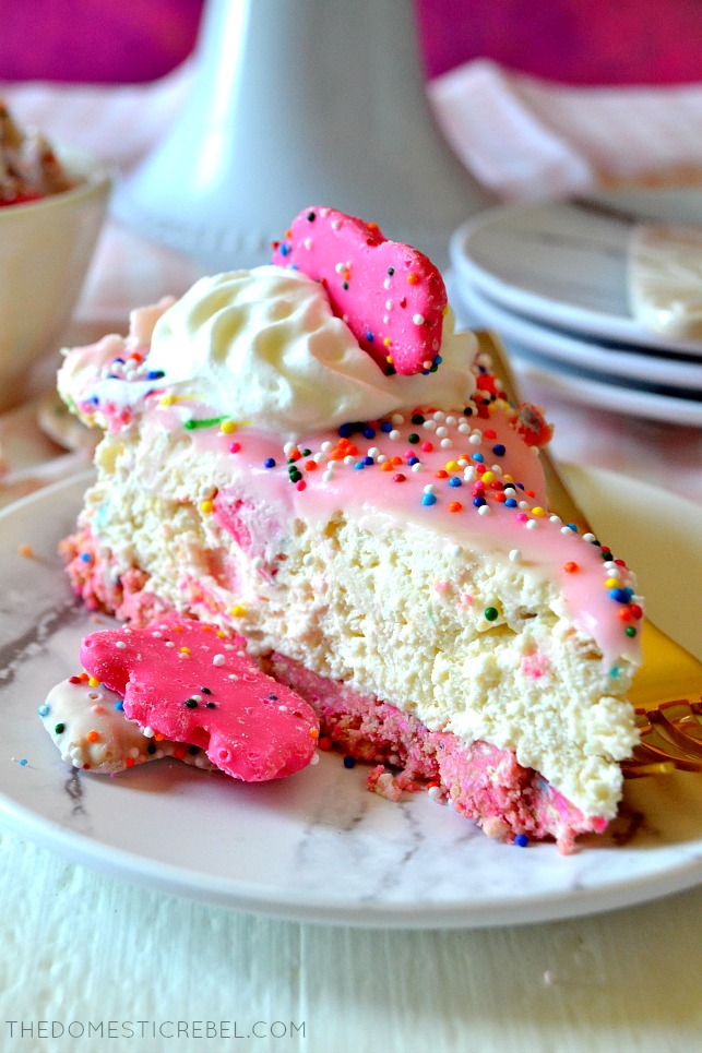 slice of circus animal cookie cheesecake topped with whipped cream and a circus animal cookie