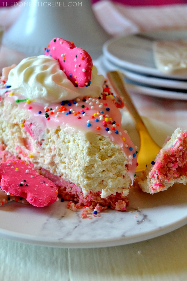 slice of circus animal cookie cheesecake with a bite missing
