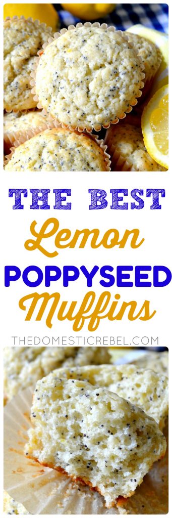 the best lemon poppyseed muffins collage 