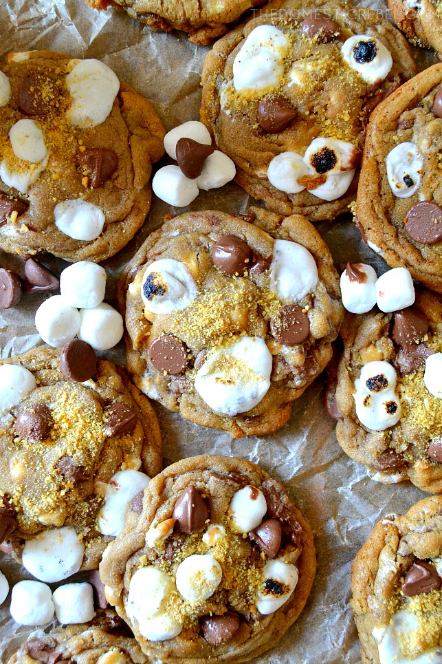several s'mores cookies arranged on parchment paper with miniature marshmallows 