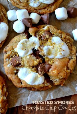 These Toasted S'mores Chocolate Chip Cookies are FANTASTIC, heavenly cookies flavored with s'mores! From the soft and chewy chocolate chip cookie base to the gooey puddles of milk chocolate and toasted sweet marshmallow, you'll love these easy, crowd-pleasing cookies!