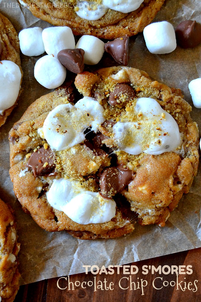 one toasted s'mores chocolate chip cookie slightly split in half to show marshmallow texture