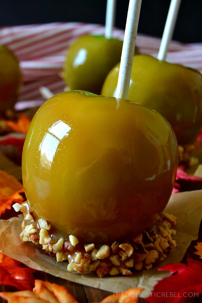 Side view of a caramel apple with peanuts on the bottom