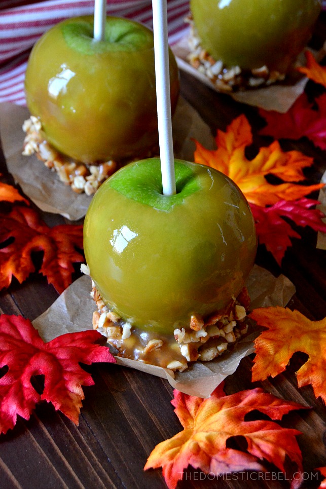 Three caramel apples sitting on parchment next to red, autumn leaves 