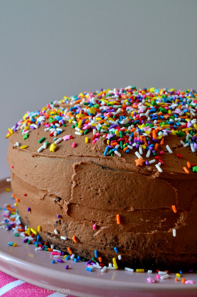Side view of whole chocolate cake topped with lots of rainbow sprinkles