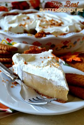 This is the BEST from-scratch Butterscotch Pudding Pie recipe! Entirely homemade, it consists of a spicy Biscoff cookie crust, a silky smooth, ultra creamy brown sugar & butterscotch pudding and a mountain of fresh whipped cream. The perfect comfort food that will be sure to please anyone!