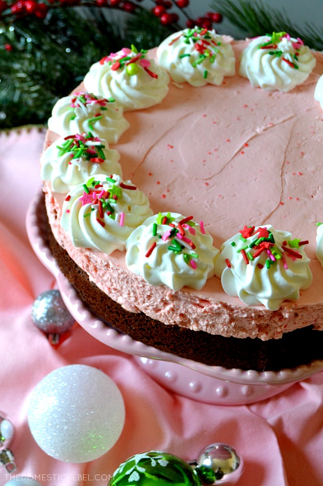 Aerial view of the whole peppermint brownie cheesecake on a pink cake stand