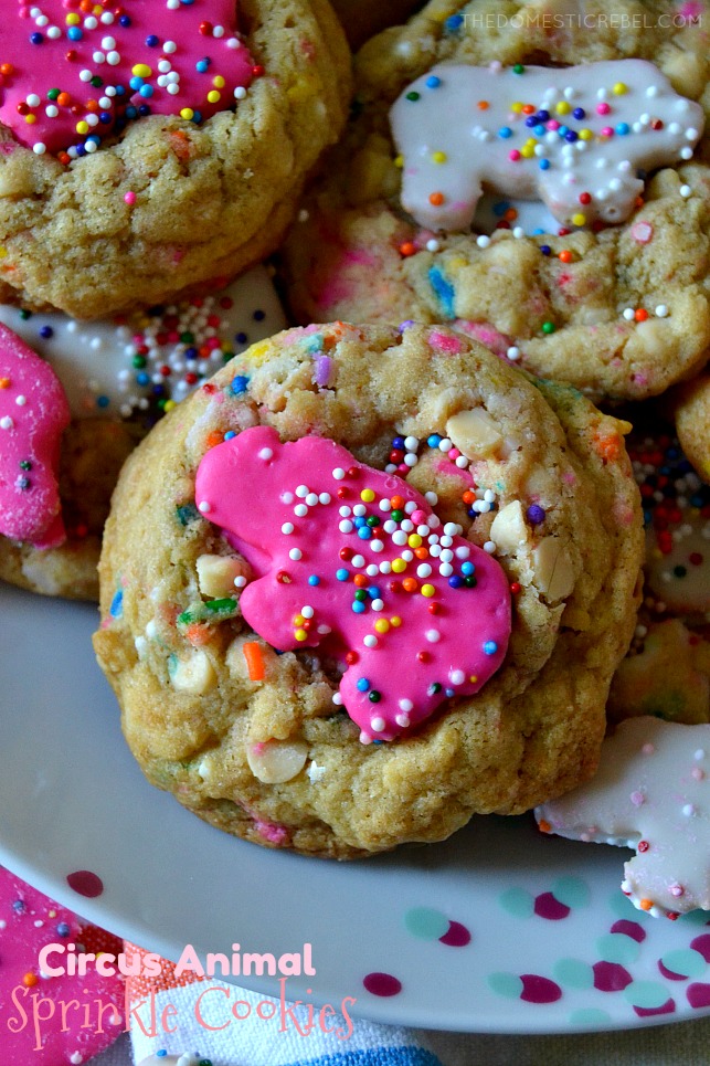 circus animal sprinkle cookies on polka dot plate