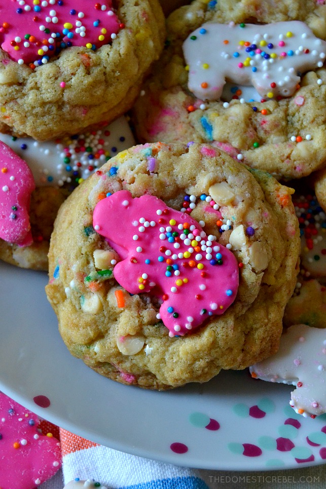 These Circus Animal Sprinkle Cookies are so fun, festive and delicious! Soft and chewy sugar pudding cookies filled with rainbow sprinkles, chopped circus animal cookies, and white chocolate chips for fantastic flavor! 