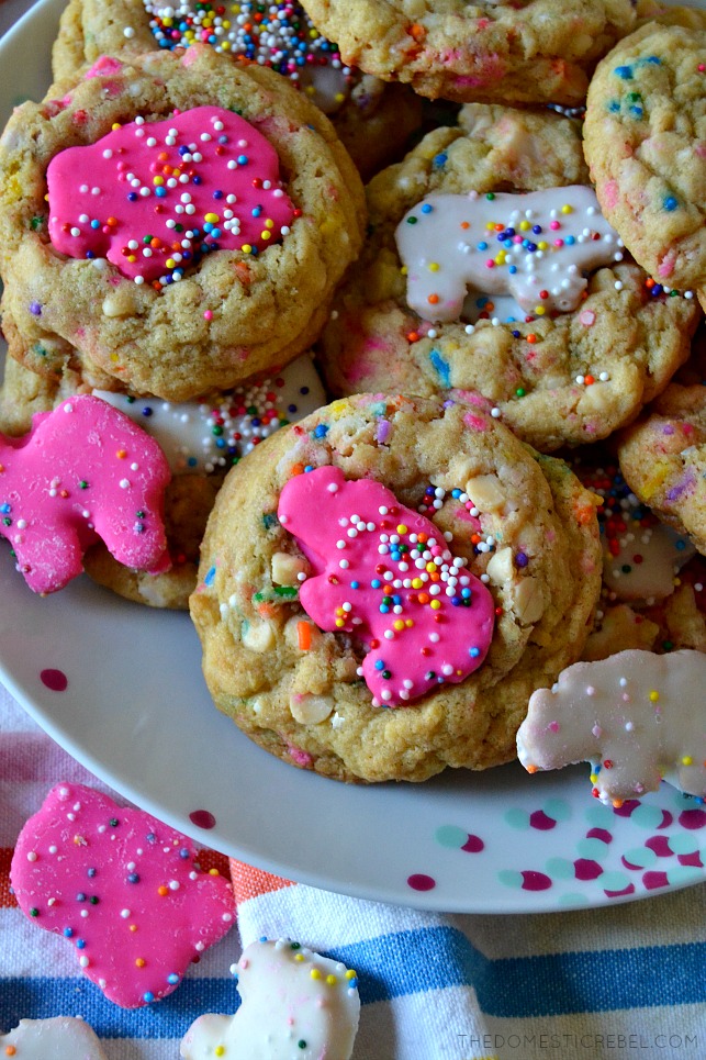 These Circus Animal Sprinkle Cookies are so fun, festive and delicious! Soft and chewy sugar pudding cookies filled with rainbow sprinkles, chopped circus animal cookies, and white chocolate chips for fantastic flavor! 