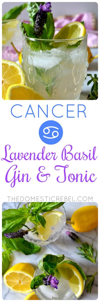 This Lavender Basil Gin & Tonic is refreshing, sparkling, light and so delicious with a hint of sweetness and lots of herbaceous, earthy flavors! It perfectly embodies the nurturing spirit of loving Cancers in my Zodiac Cocktail Series! 