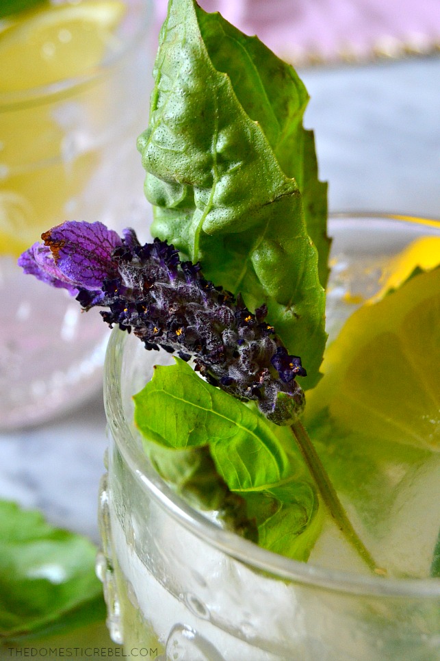 This Lavender Basil Gin & Tonic is refreshing, sparkling, light and so delicious with a hint of sweetness and lots of herbaceous, earthy flavors! It perfectly embodies the nurturing spirit of loving Cancers in my Zodiac Cocktail Series! 