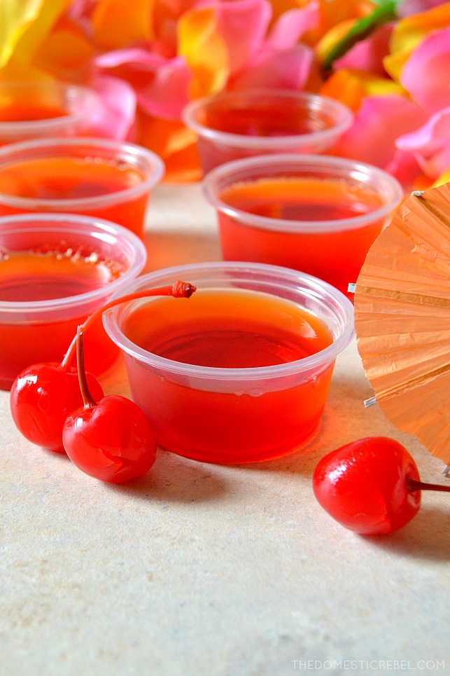 These Tequila Sunrise Jello Shots are the perfect go-to party favor with two layers of delicious tequila-spiked Jello in every cup! These fun, life-of-the-party shots perfectly represent fiery Leos in my Zodiac Cocktail Series! 