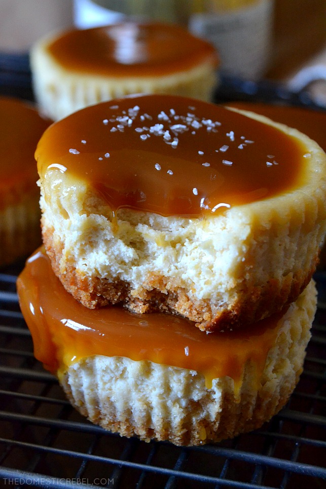 These Salted Caramel Mini Cheesecakes are to-die for! Bite-size creamy cheesecakes topped with buttery salted caramel sauce and a sprinkling of sea salt. Sweet, salty, decadent and so easy to make! 