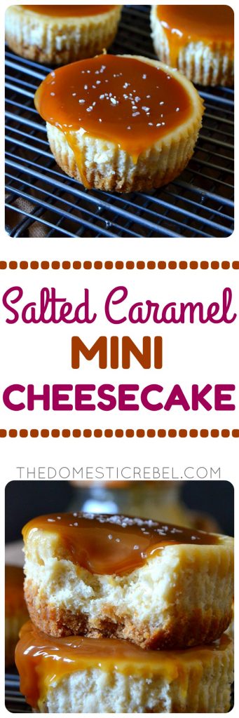 These Salted Caramel Mini Cheesecakes are to-die for! Bite-size creamy cheesecakes topped with buttery salted caramel sauce and a sprinkling of sea salt. Sweet, salty, decadent and so easy to make! 